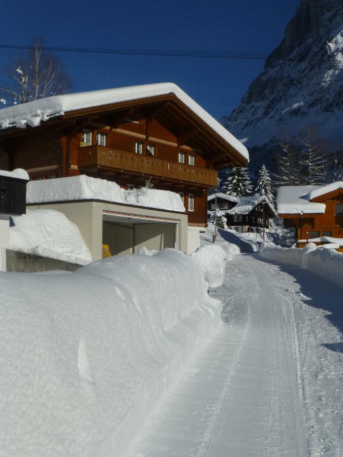 דירות Chalet Verbrunnenhaus גרינדלוולד מראה חיצוני תמונה